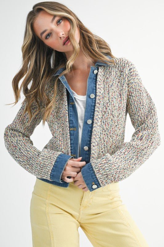 Multicolor Denim Trip Jacket - The Nines