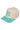 Dog Mom Mint Hat - The Nines