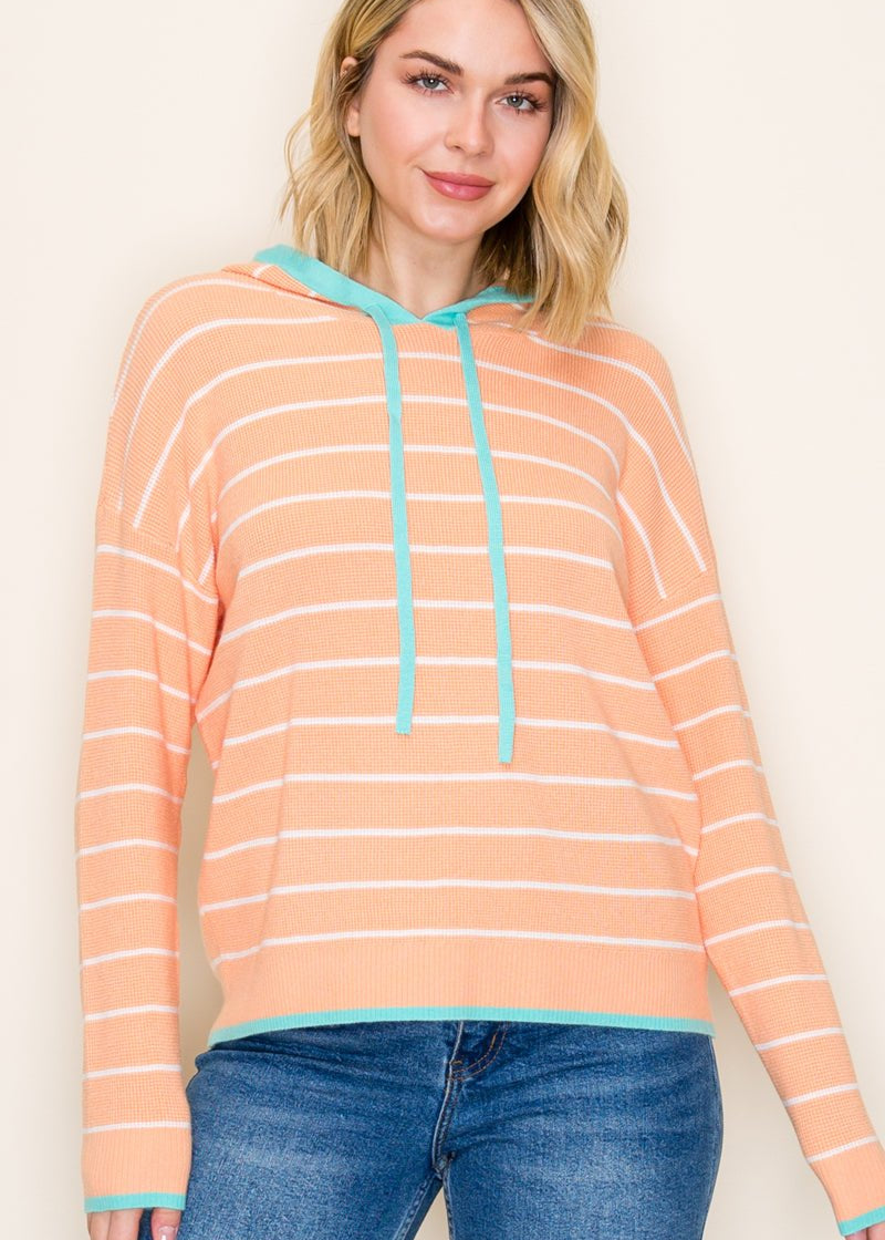 Somerset Striped Hooded Pullover - 2 Colors! - The Nines
