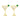 Gold Dirty Martini Earrings - The Nines