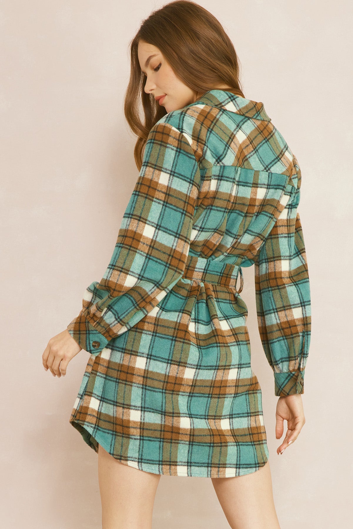 Brown & Sea Green Plaid Dress - The Nines