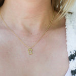 Minnesota 14K Nickel Free Necklace - The Nines