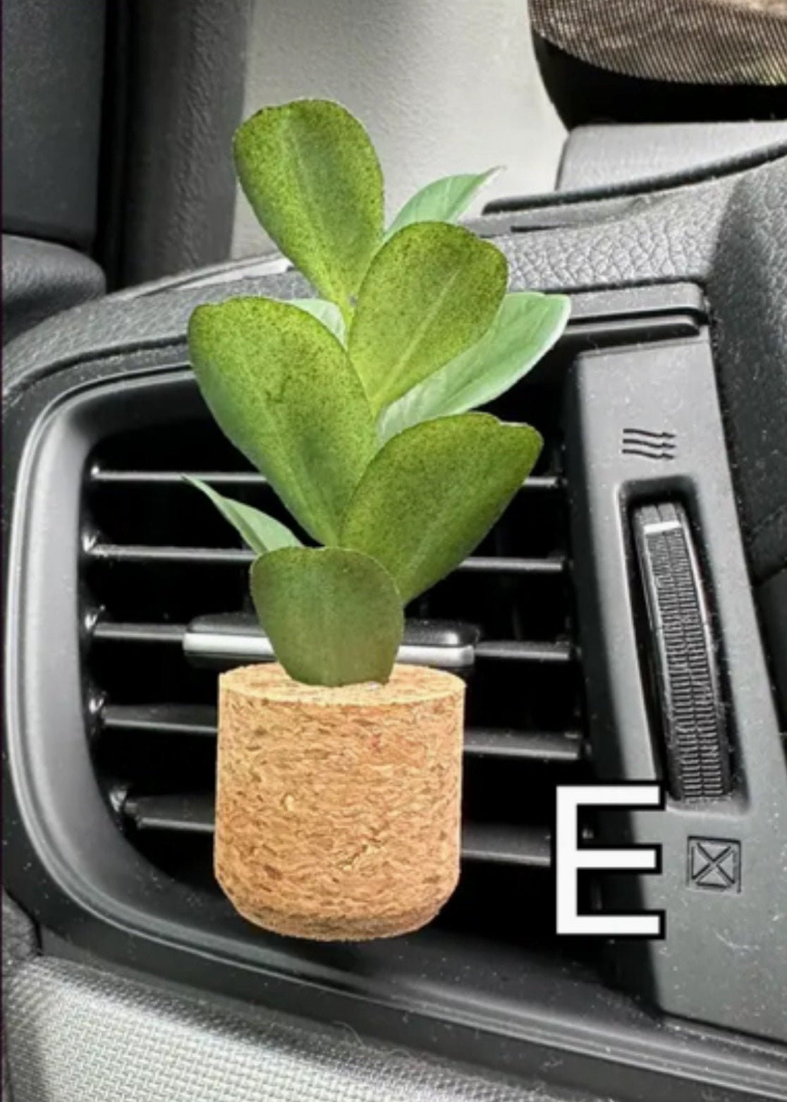 Vroom Bloom Car Air Freshner - 7 Scents! - The Nines