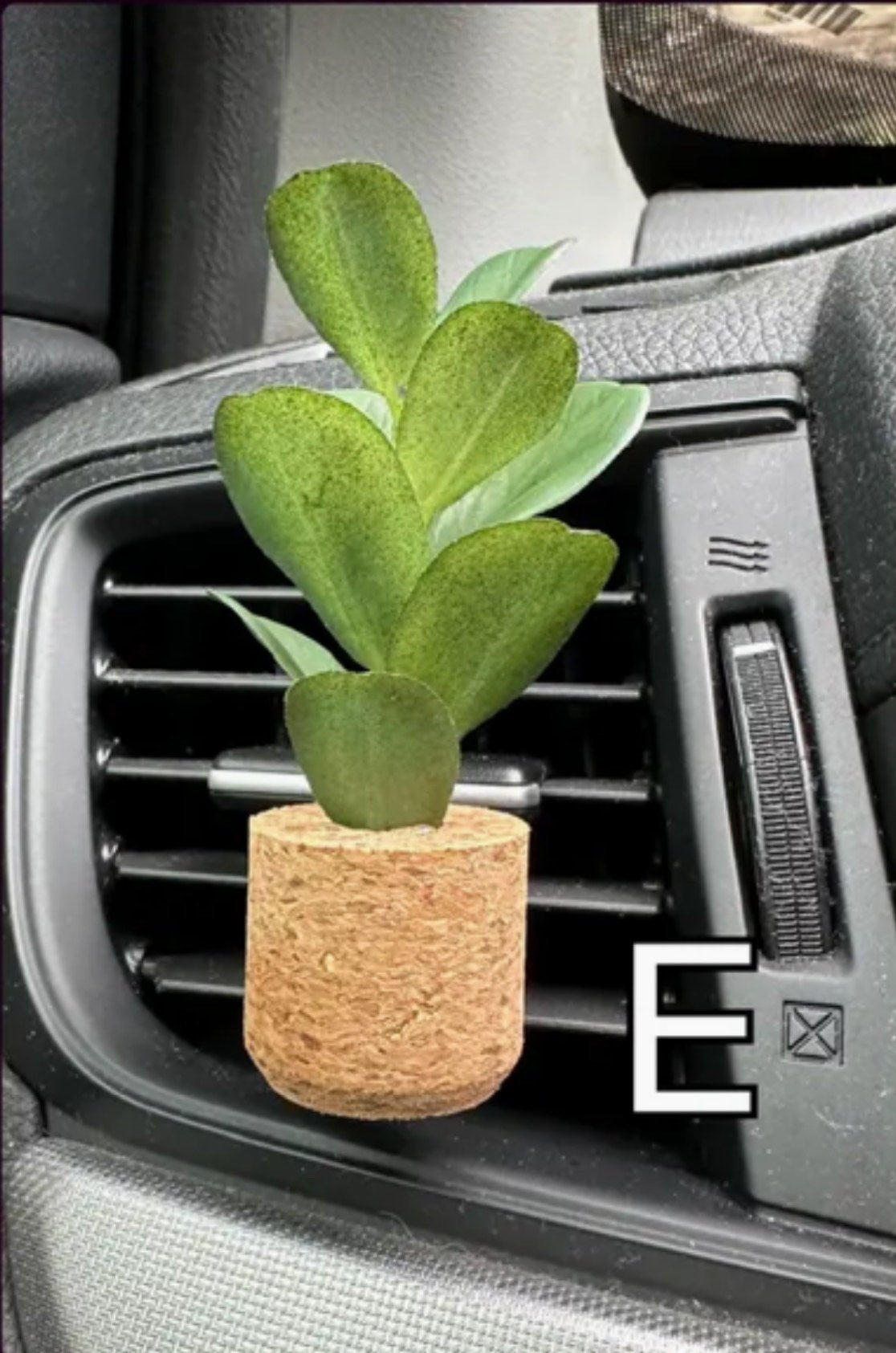 Vroom Bloom Car Air Freshner - 7 Scents! - The Nines