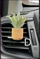 Vroom Bloom - 7 Scents!