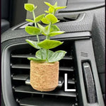 Vroom Bloom Car Air Freshner - 7 Scents! - The Nines