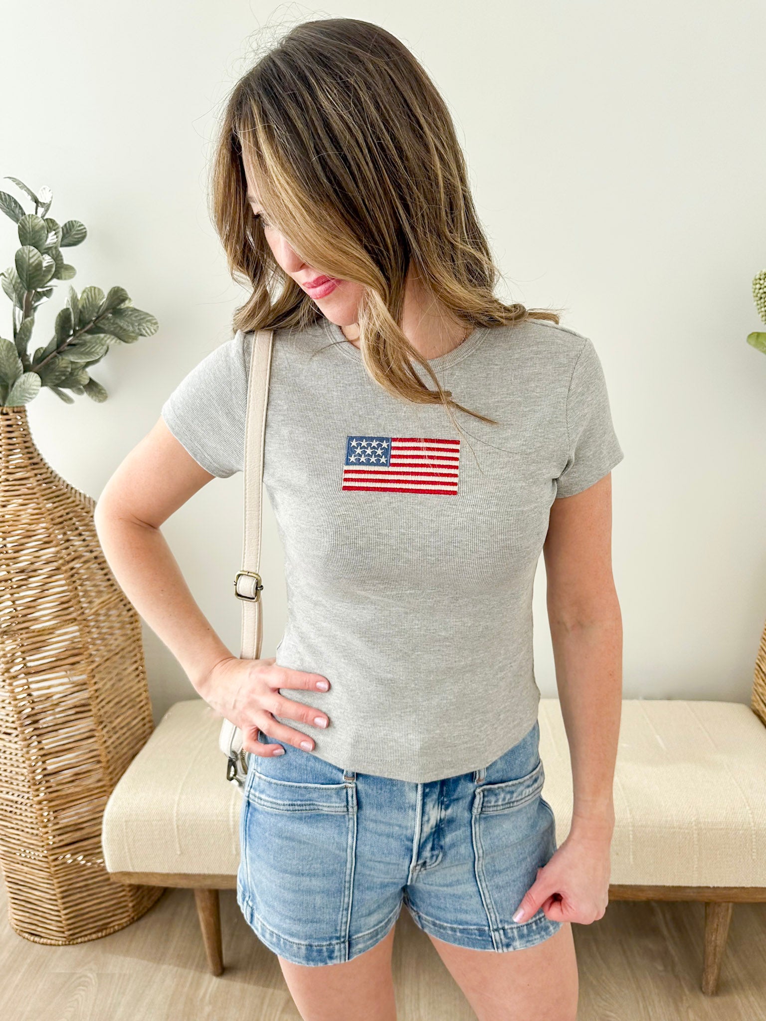 Cropped Embroidered Flag Tee - The Nines