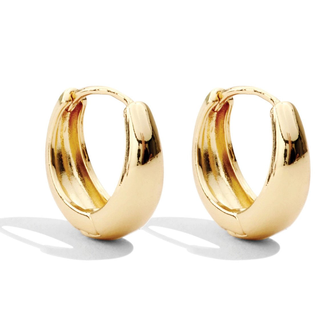 Splendid Iris Huggie Earrings - 2 colors! - The Nines