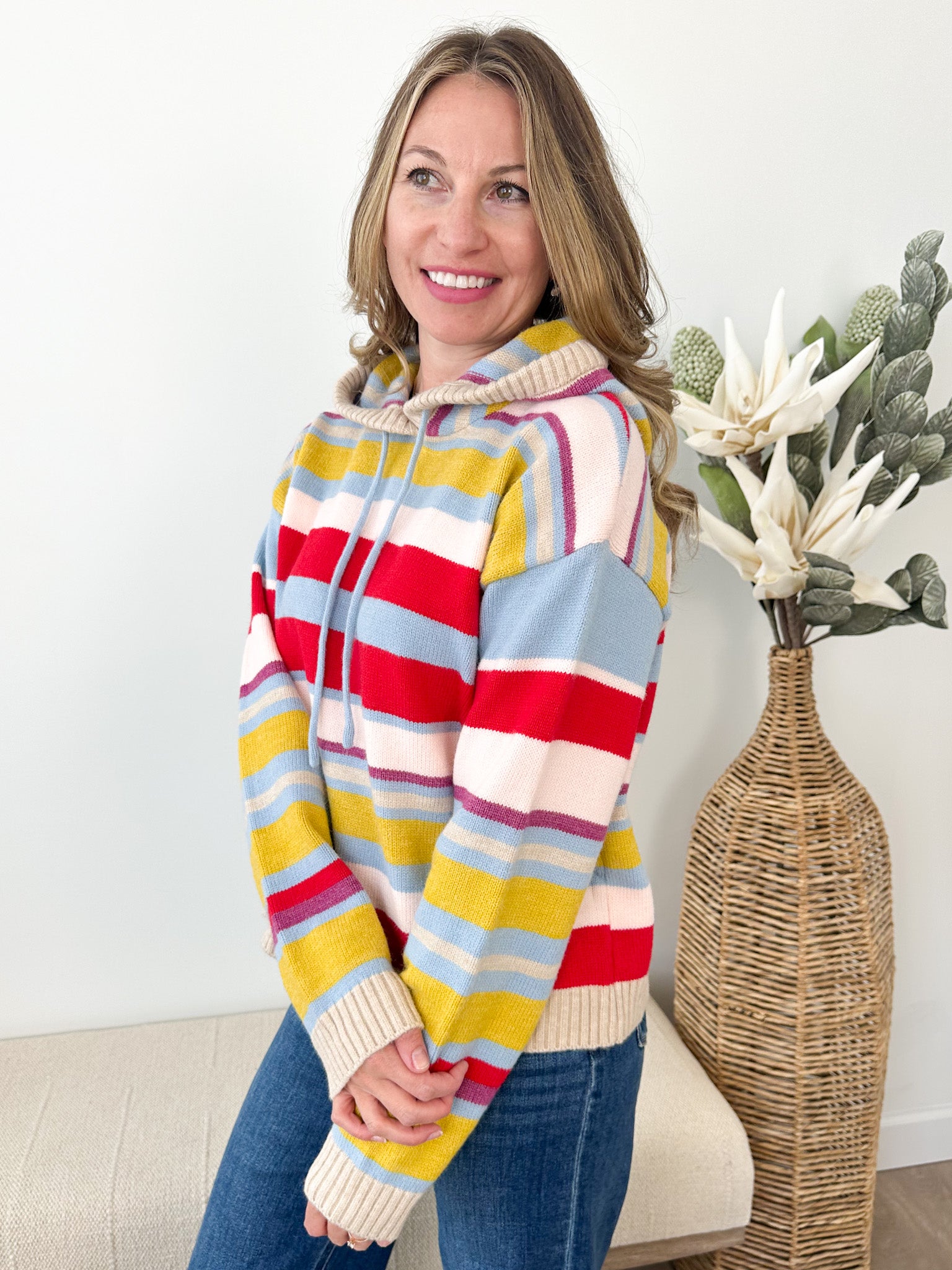 Multi Stripe Sweater Hoodie - The Nines