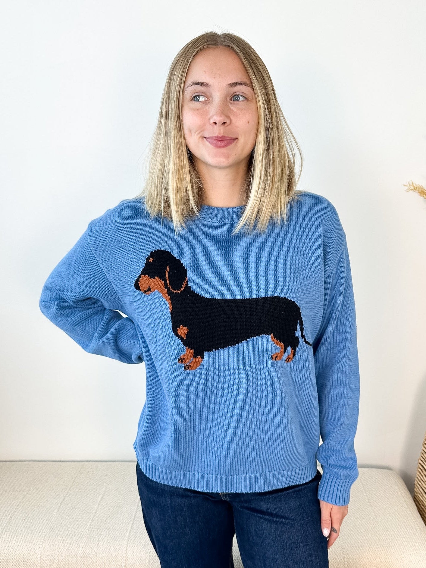 Dachshund Dog Knit Sweater - The Nines