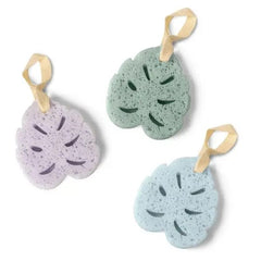 Super Sudsy Soap Sponge - 3 Scents!