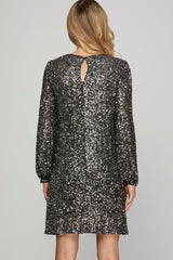 Silver Shimmer Sequin Dress