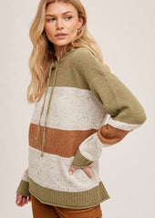 Olive & Rust Sweater Hoodie