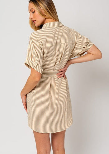Taupe Striped Belted Dress